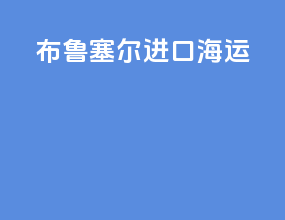 布鲁塞尔进口海运