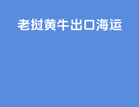 老挝黄牛出口海运