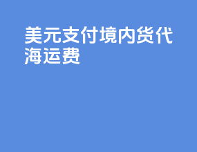 美元支付境内货代海运费