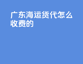 广东海运货代怎么收费的