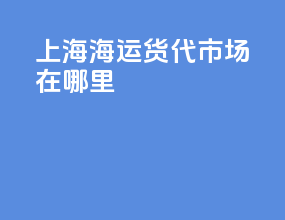 上海海运货代市场在哪里