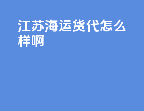 江苏海运货代怎么样啊