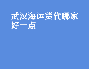 武汉海运货代哪家好一点