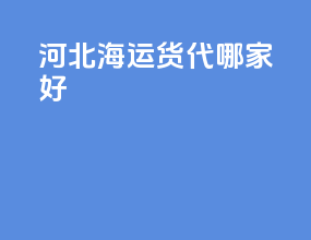 河北海运货代哪家好