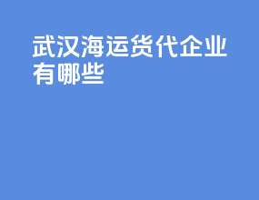 武汉海运货代企业有哪些