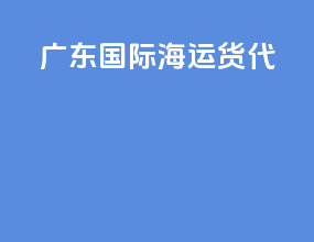 广东国际海运货代