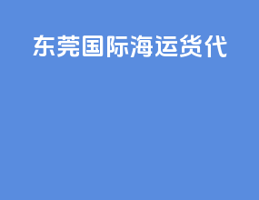 东莞国际海运货代