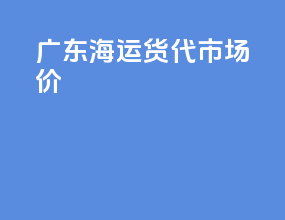 广东海运货代市场价
