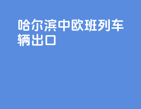 哈尔滨中欧班列车辆出口