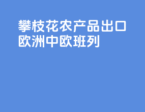 攀枝花农产品出口欧洲中欧班列