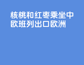 核桃和红枣乘坐中欧班列出口欧洲