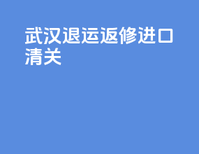 武汉退运返修进口清关