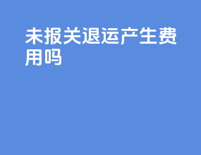 未报关退运产生费用吗