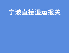 宁波直接退运报关
