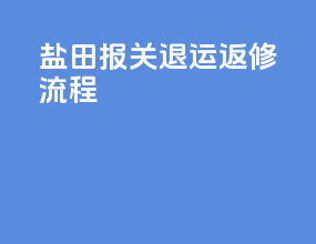 盐田报关退运返修流程