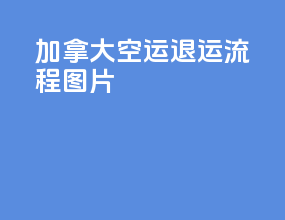 加拿大空运退运流程图片