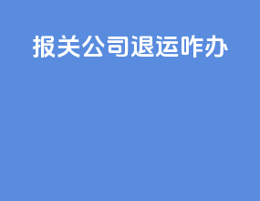 报关公司退运咋办