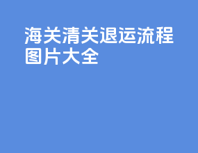 海关清关退运流程图片大全