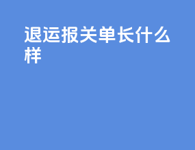 退运报关单长什么样