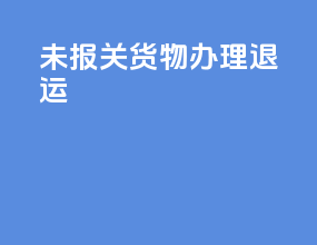 未报关货物办理退运