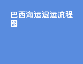 巴西海运退运流程图