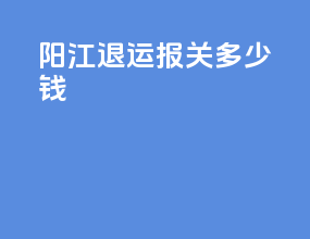 阳江退运报关多少钱