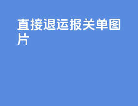 直接退运报关单图片