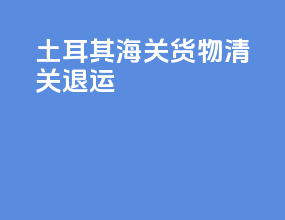 土耳其海关货物清关退运