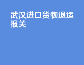 武汉进口货物退运报关