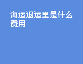 海运退运里TSL是什么费用