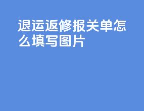 退运返修报关单怎么填写图片