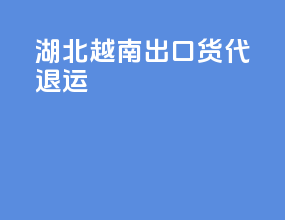 湖北越南出口货代退运
