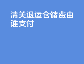 清关退运仓储费由谁支付