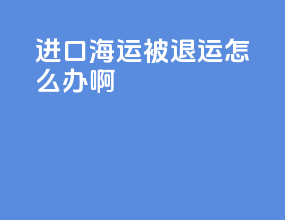 进口海运被退运怎么办啊