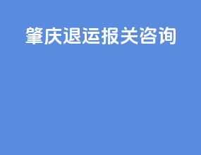 肇庆退运报关咨询