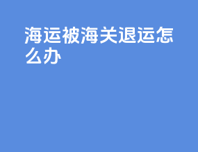 海运被海关退运怎么办