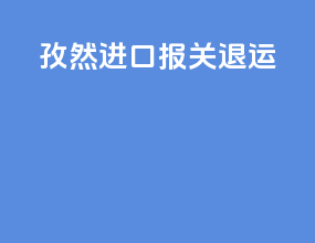 孜然进口报关退运