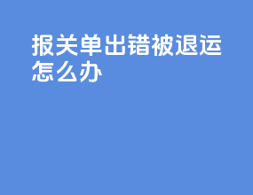报关单出错被退运怎么办