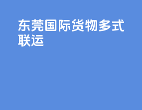 东莞国际货物多式联运