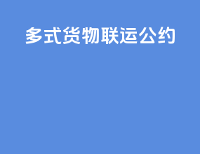 多式货物联运公约