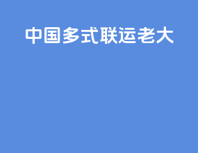 中国多式联运老大