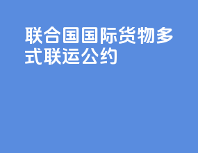 联合国国际货物多式联运公约