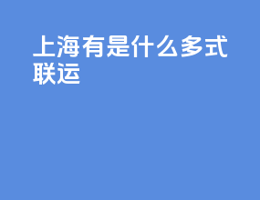 上海有是什么多式联运
