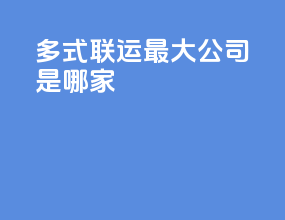 多式联运最大公司是哪家